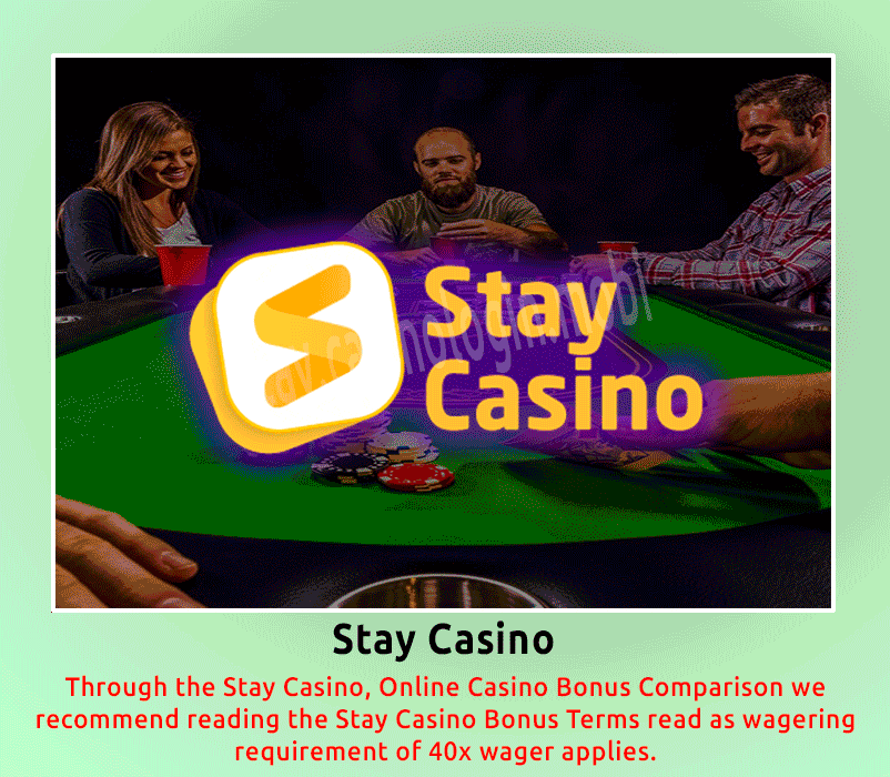 Stay Casino