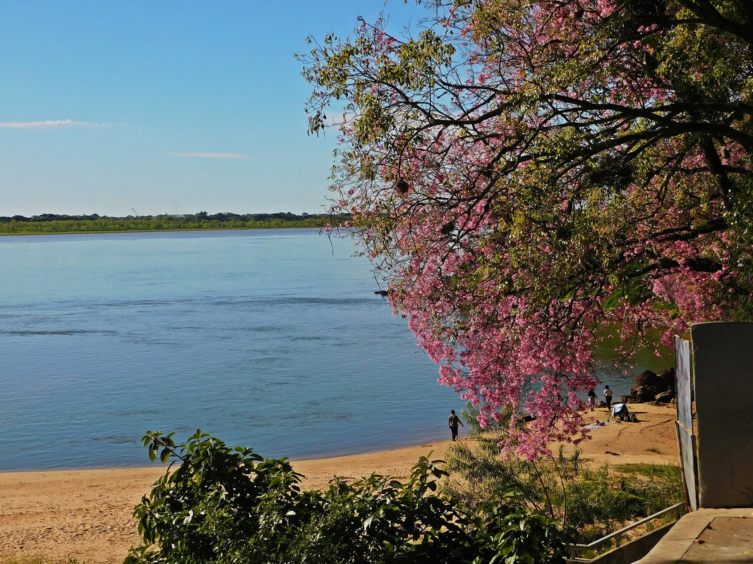 DSCN0416.jpg