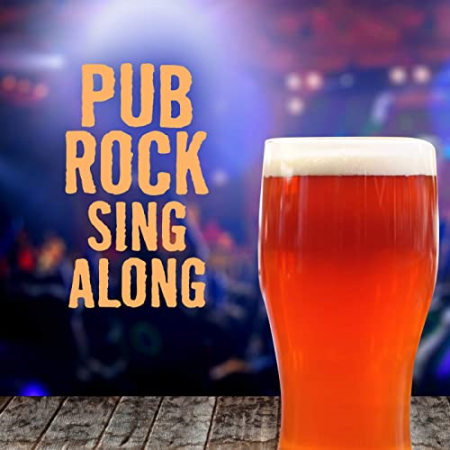 VA   Pub Rock Sing Along (2022)