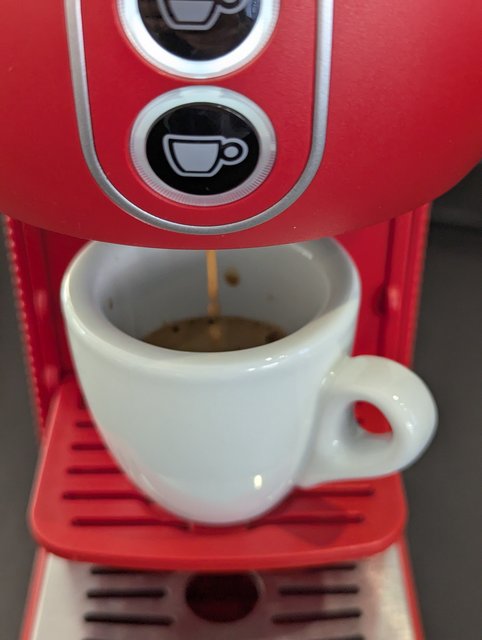 PXL_20250321_083223436_Original