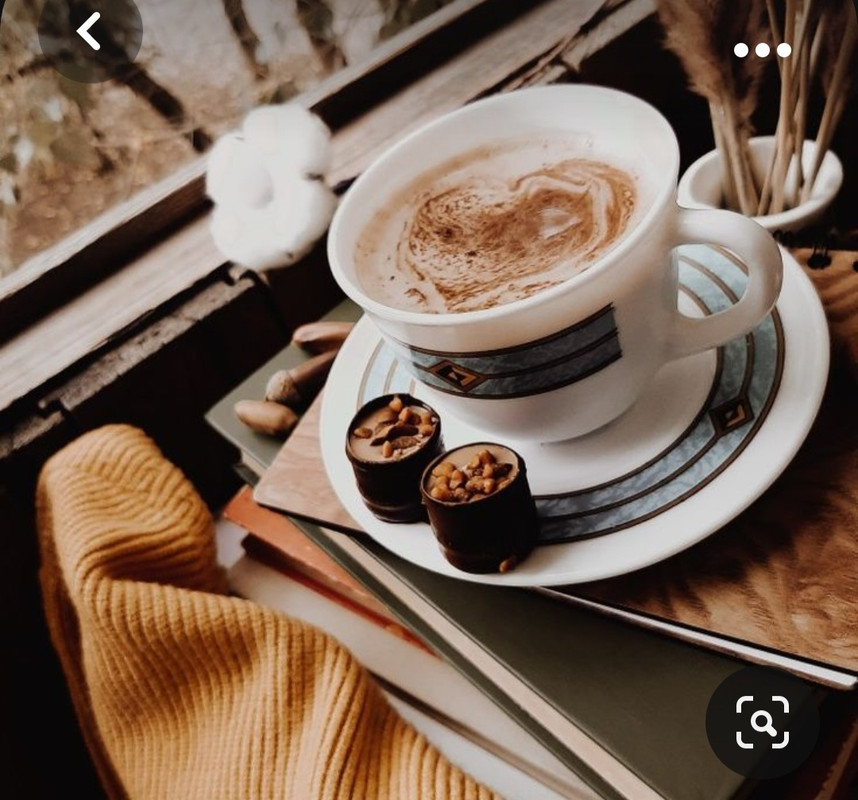 Screenshot_20231031_170341_Pinterest