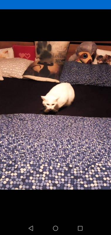 Вайс (Брюс)1