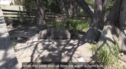 https://i.postimg.cc/qgW1ZP84/IMG-2992.jpg