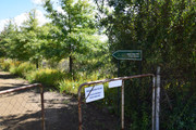 DSC-0143
