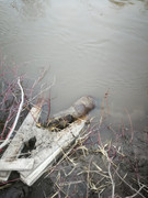 IMG-20200509-202333