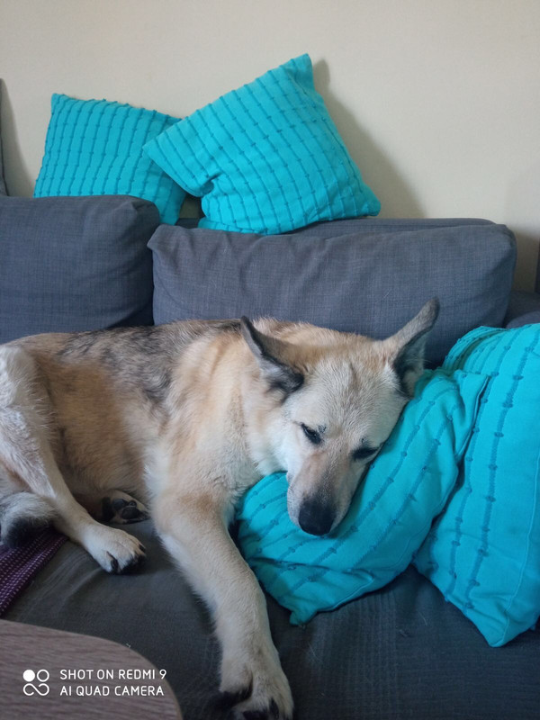 E1FAEA5C-8957-4211-9510-F50BFCFD49C1