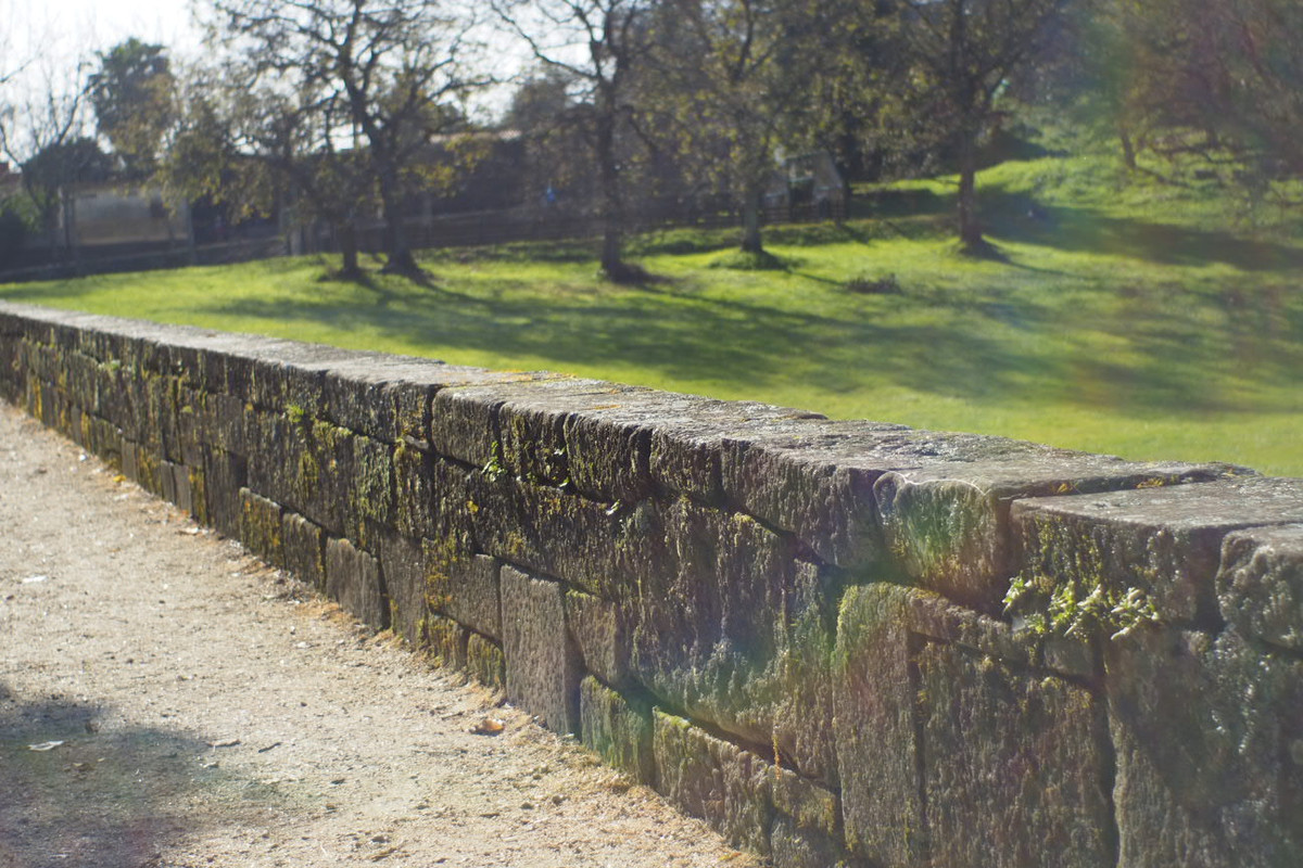 Yashinon 35mm Olympus EM10 II