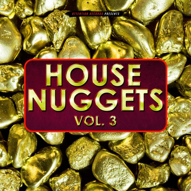 House Nuggets, Vol. 3 (2020) mp3 320 Kbps