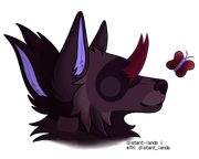 export202409020044196812