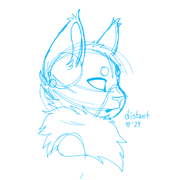 export202410201109156951