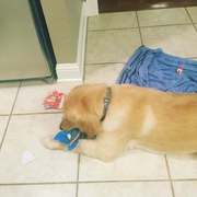 image_2023-02-02_231503201