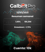 Robofrex + Galbotpro (copytrading)