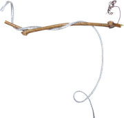 Branch1
