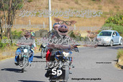 IMG-2592