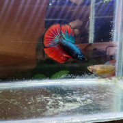 IMG_20190710_220340_497