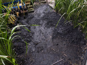 IMG_20221008_125946_Erased