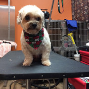 6DBA68E7-0C6F-4656-99BF-FBB26AFD695D