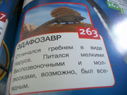 https://i.postimg.cc/qgwL199T/100-8104.jpg