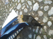 IMG-20131006-111536