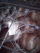 82467478-2980879671942828-7459129793850638336-n.jpg