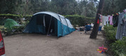 IMG-20230613-210819.jpg