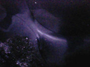 Photo_2025-06-05 21_50_32_317