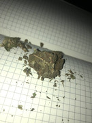 IMG_20250426_180331_151