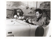 shelley-fabares-c23