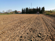 IMG-20220414-094250.jpg