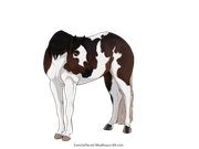 818B324E-7D5D-4E1F-952F-BB28803E73B2