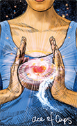 [Imagen: 36-copia.png]