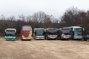 IMG-1557
