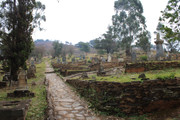 IMG-2929