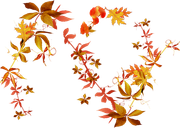 TADD_elements_Shimmer_Fall_53