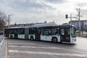 IMG-1227