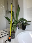 72B779DF-CE62-43CD-A9F6-E8942783BC0D