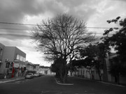 65.14.welcoming winter XIV