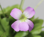 29F04CC5-293E-444A-828F-0A8E316722A6