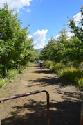 DSC-0144
