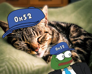 photo_3893@28-12-2024_00-57-54