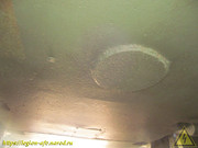 IMG-3239