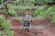 IMG-6464