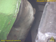 P1010173