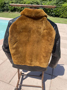 IMG-3234
