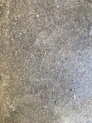 A95E2C29-47EF-4A9C-89A0-F135DE47BBCE