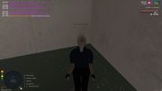 UKRAINE-GTA-05-09-2025-20-11-15