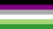 aroace2-tumblr-header
