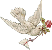 16390613dffa1392c76bf4f33d3051b3