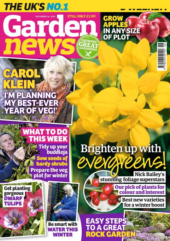 Garden-News-16-November-2019.jpg