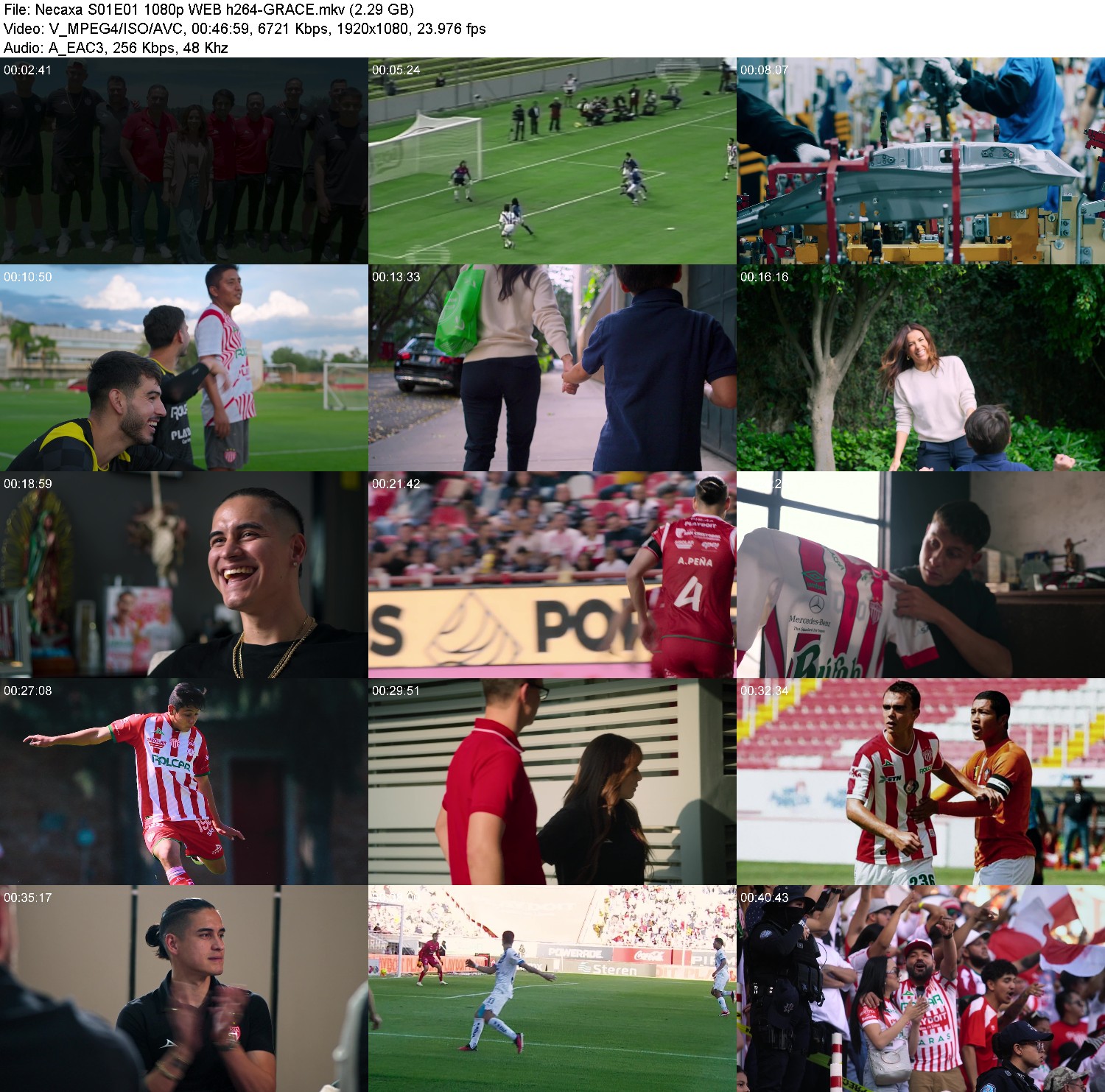 [Image: krk9cpa83fe7.jpg]